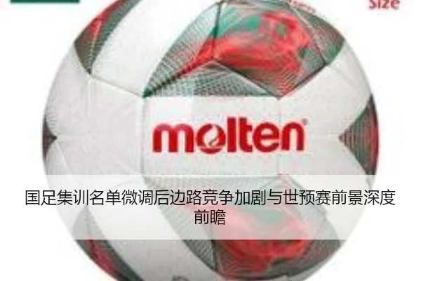 国足集训名单微调后边路竞争加剧与世预赛前景深度前瞻